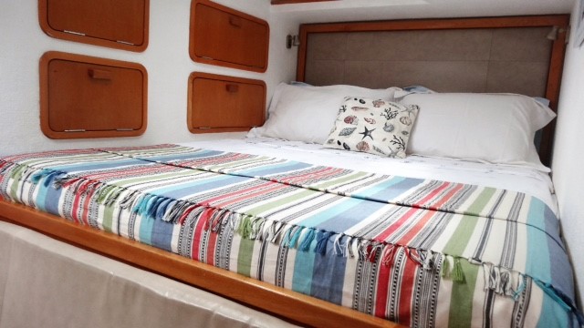 BVI Catamaran Katlyn guest cabin