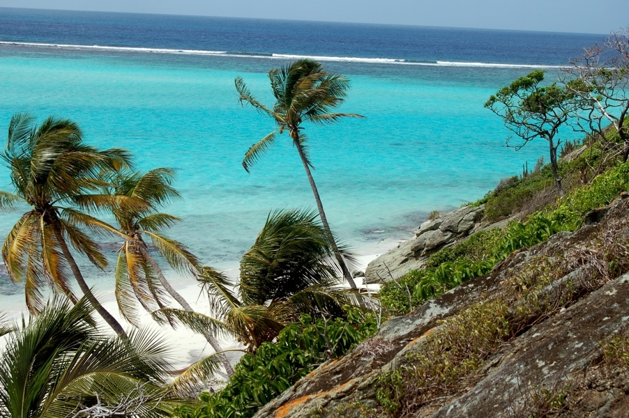 Tobago Cays – The Grenadines