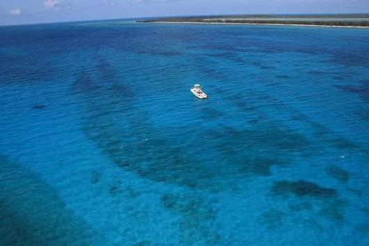 Sailing in turquoise blue waters of Bimini in the Bahamas