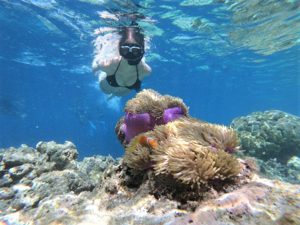 enjoy SNORKELING while on st lucia yacht-charter vacation
