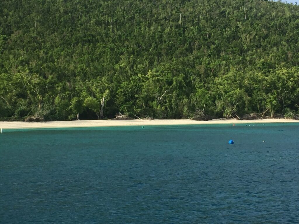 beach on St John US Virgin islands