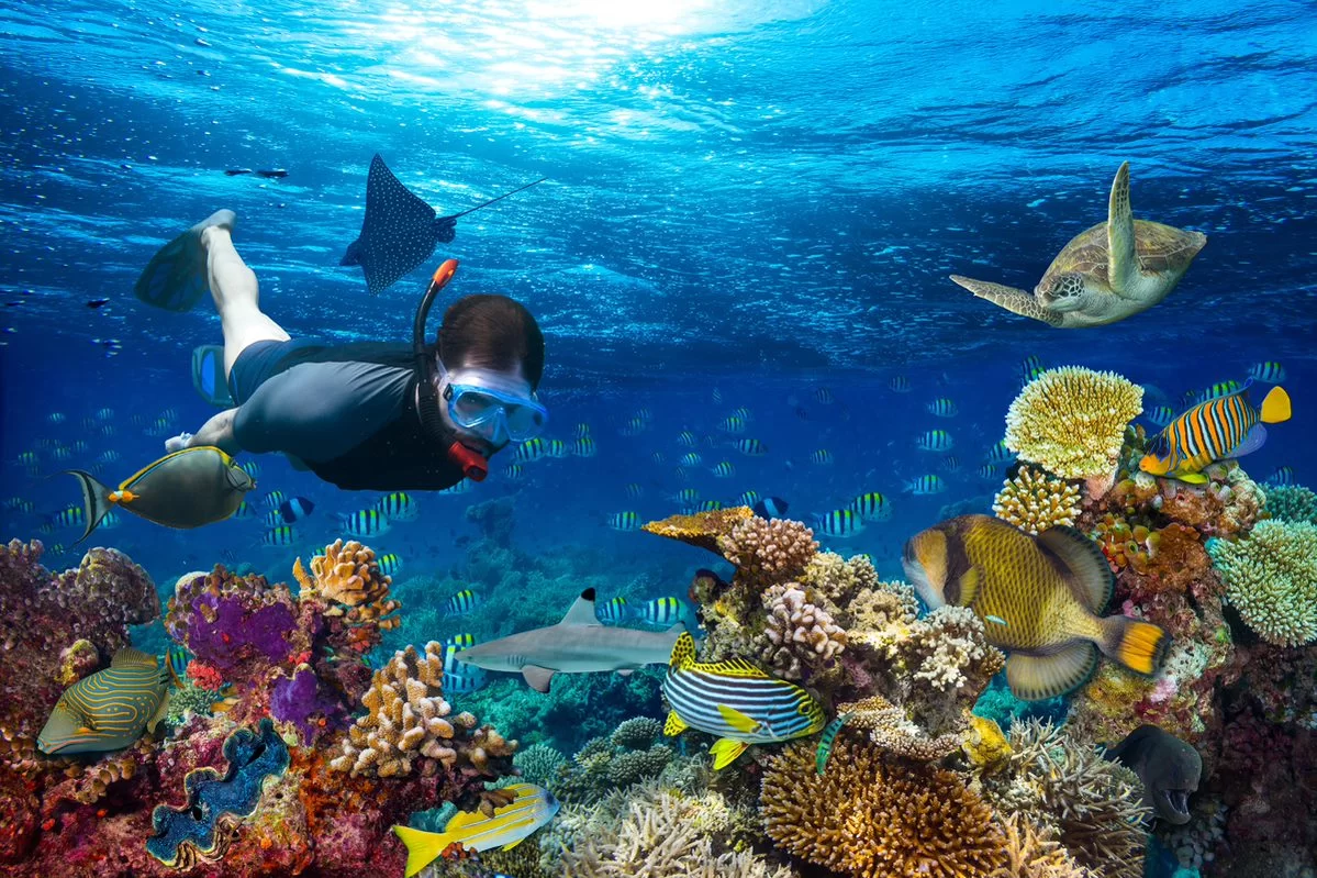 Top 10 Amazing Snorkeling Spots in the BVI