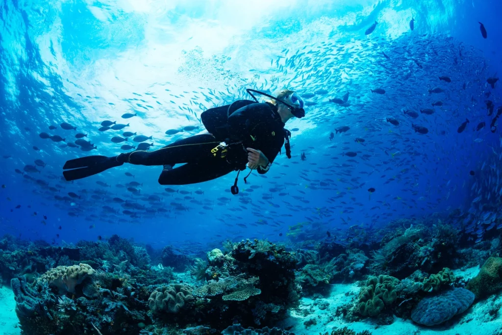 a scuba diver in the Caribbean sea - best things to do in Antigua