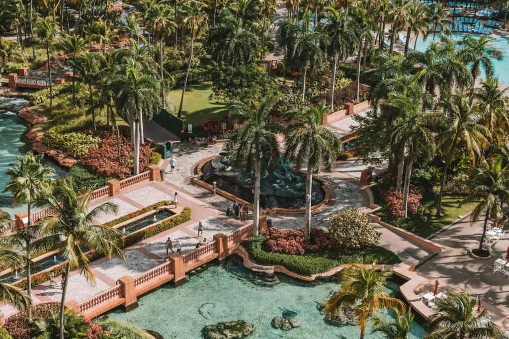 Palm trees surrounding the resort - Yacht Charters Bahamas